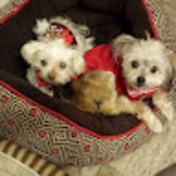 Meet your Posher, Beth - Picture 1 of 1